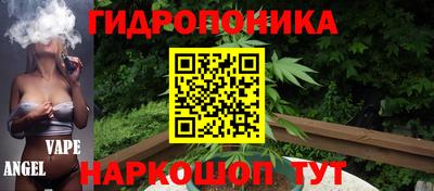 spice Моздок