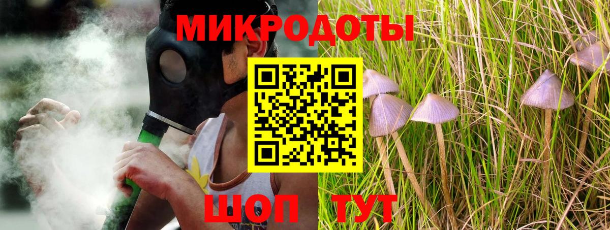 Хасавюрт  Псилоцибиновые грибы мицелий  Вход с VPN 