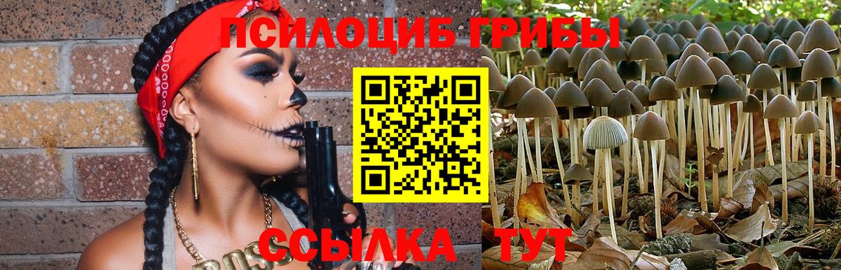 Галлюциногенные грибы Magic Shrooms Хасавюрт